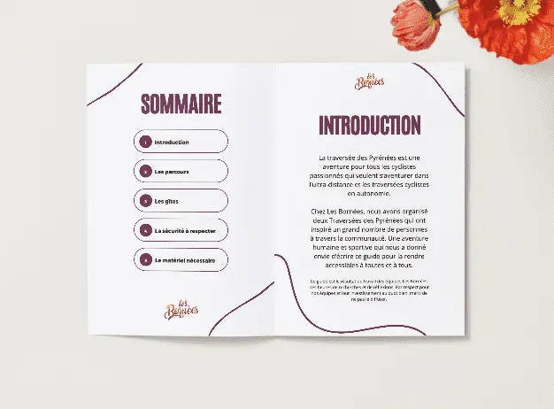 E-book - Guide Pratique pour la Traversée des Pyrénées à Vélo - Ma boutique