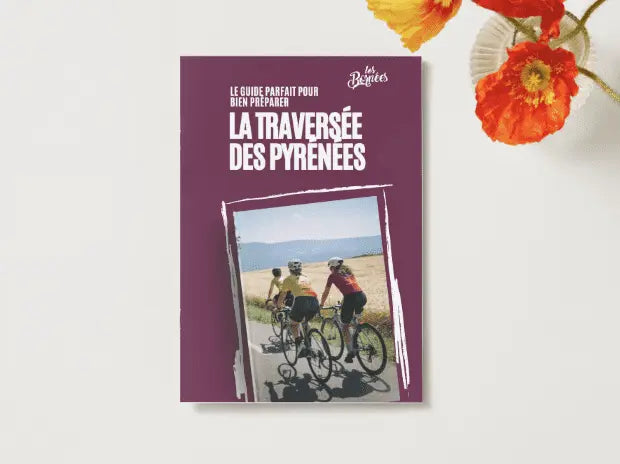 E-book - Guide Pratique pour la Traversée des Pyrénées à Vélo - Ma boutique