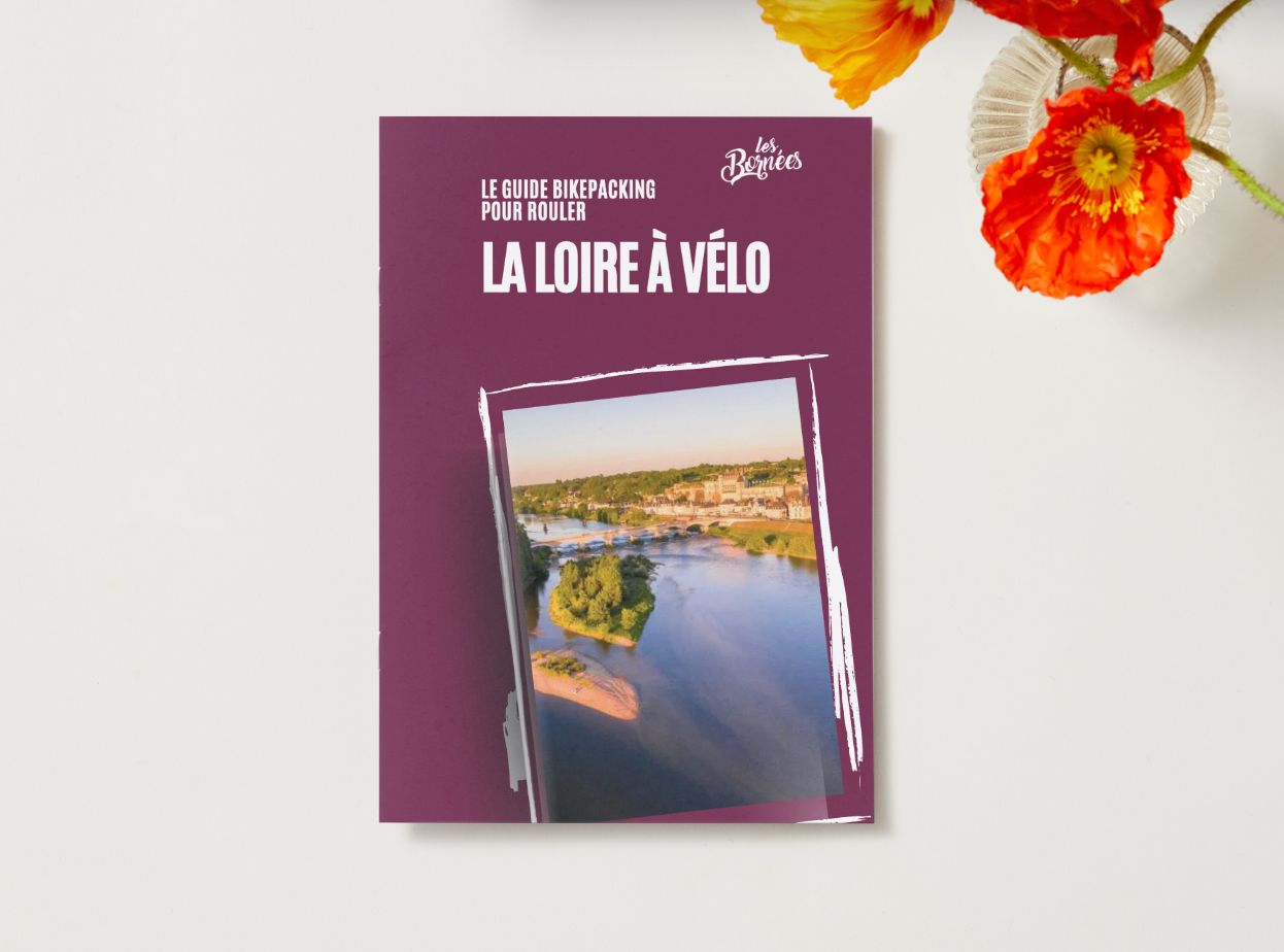 E-book - Practical Guide for Crossing the Pyrenees by Bike