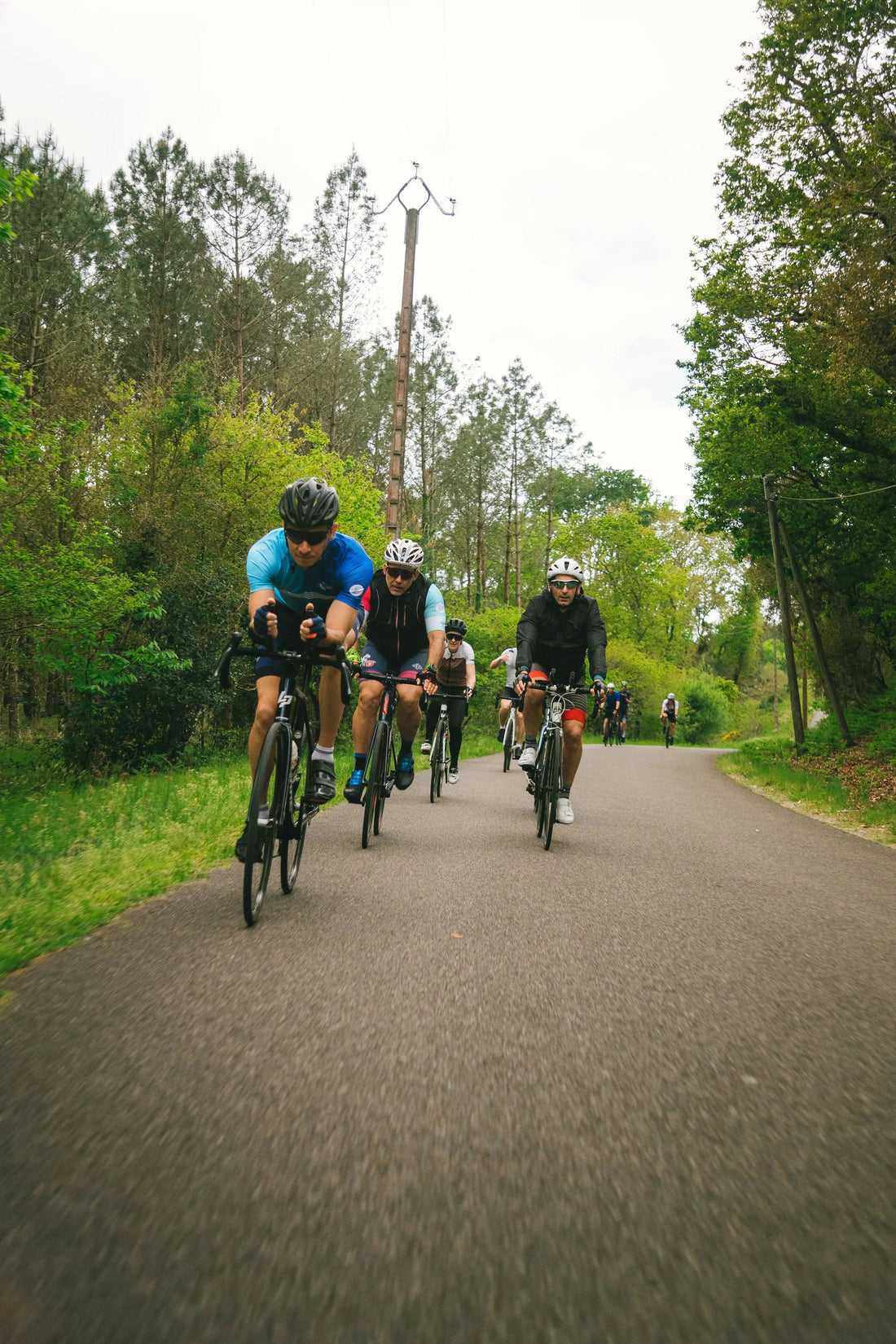 cyclistes les bornées sur route