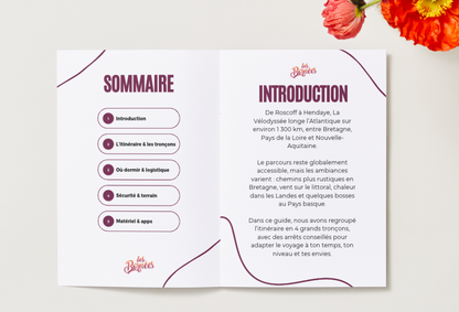 E-book : Guide Pratique pour Parcourir La Vélodyssée
