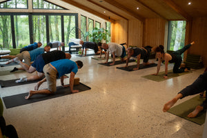 Triathlon & Yoga Camp in Les Landes: Focus on Performance : photo 10
