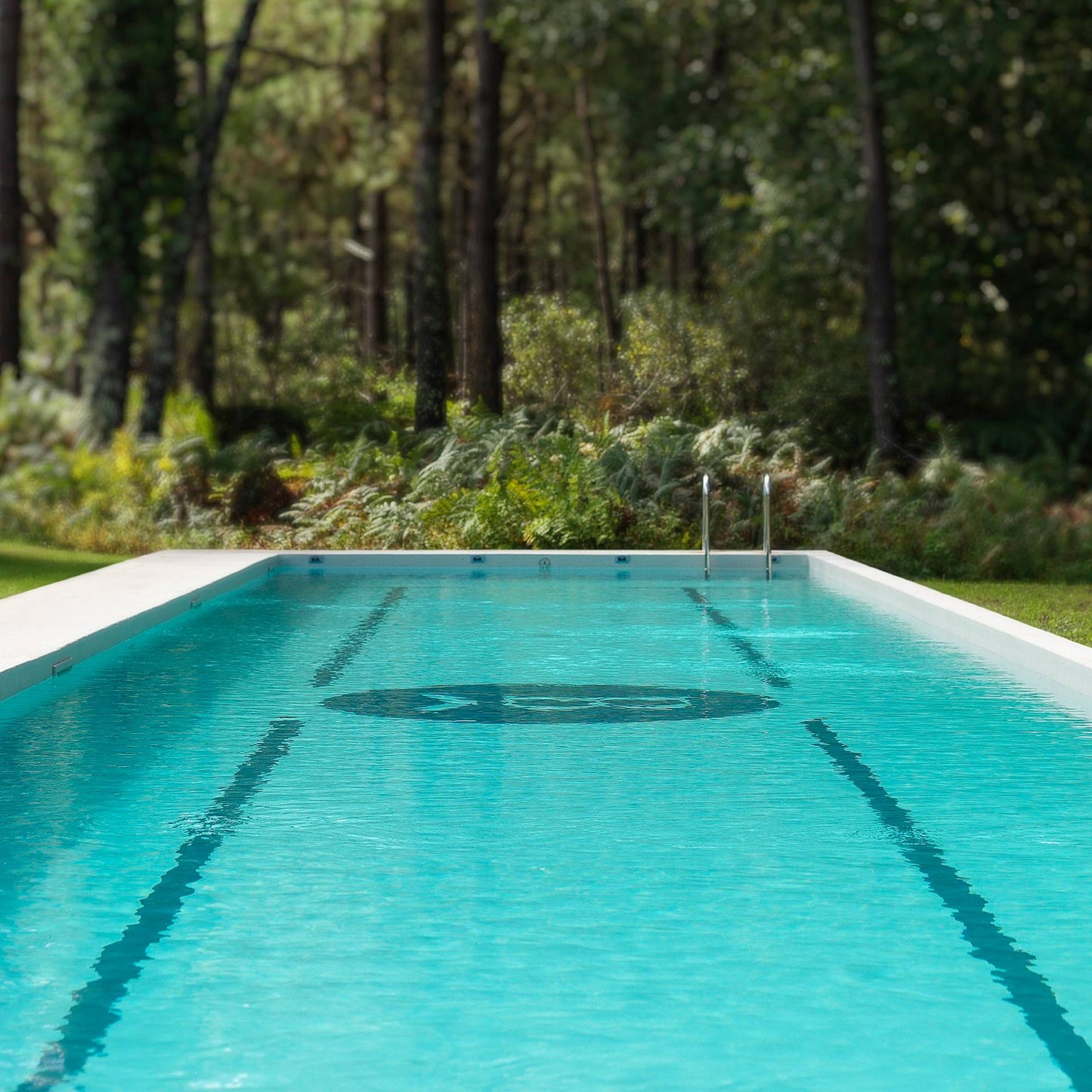 La piscine de 25 m au cœur de la forêt