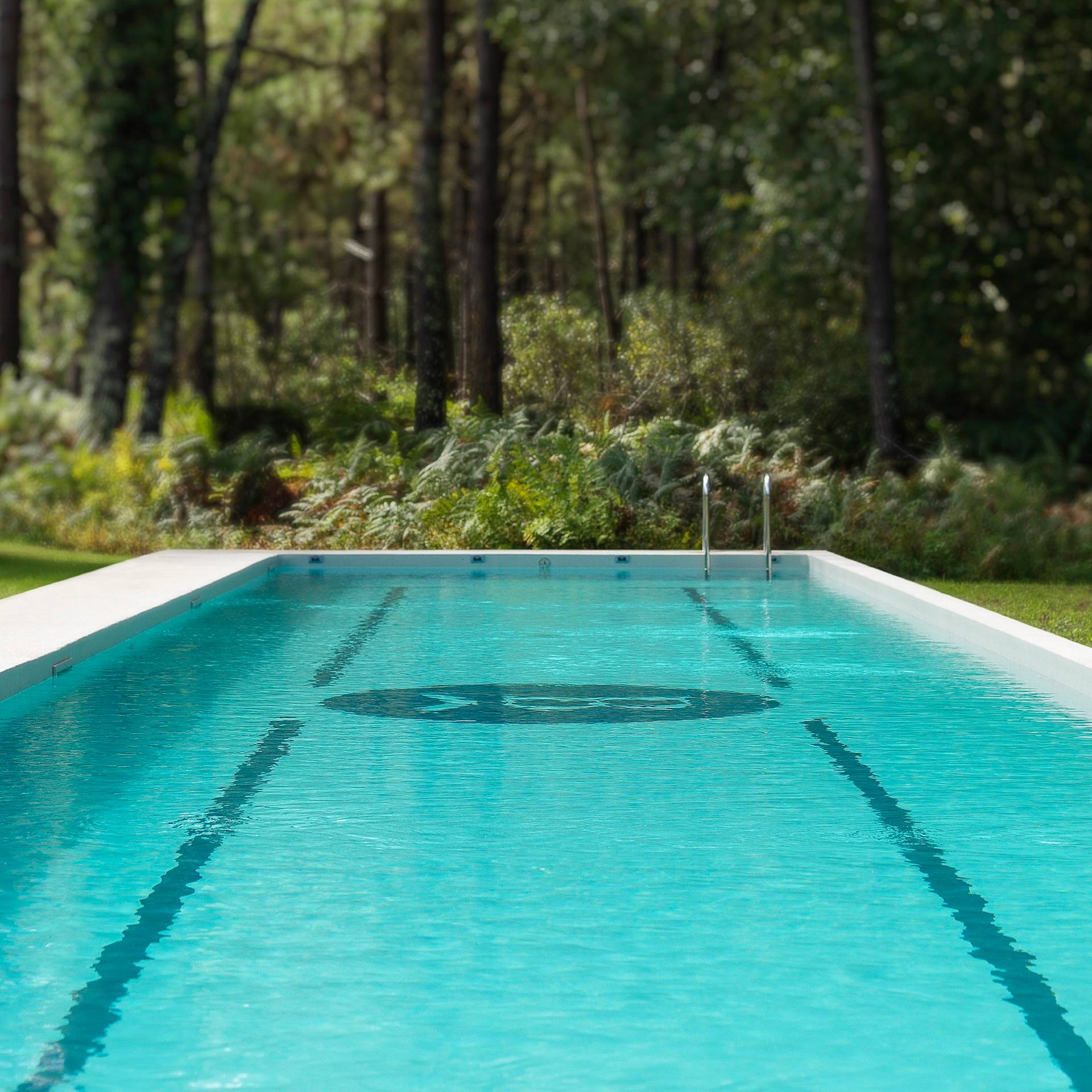 La piscine de 25 m au cœur de la forêt