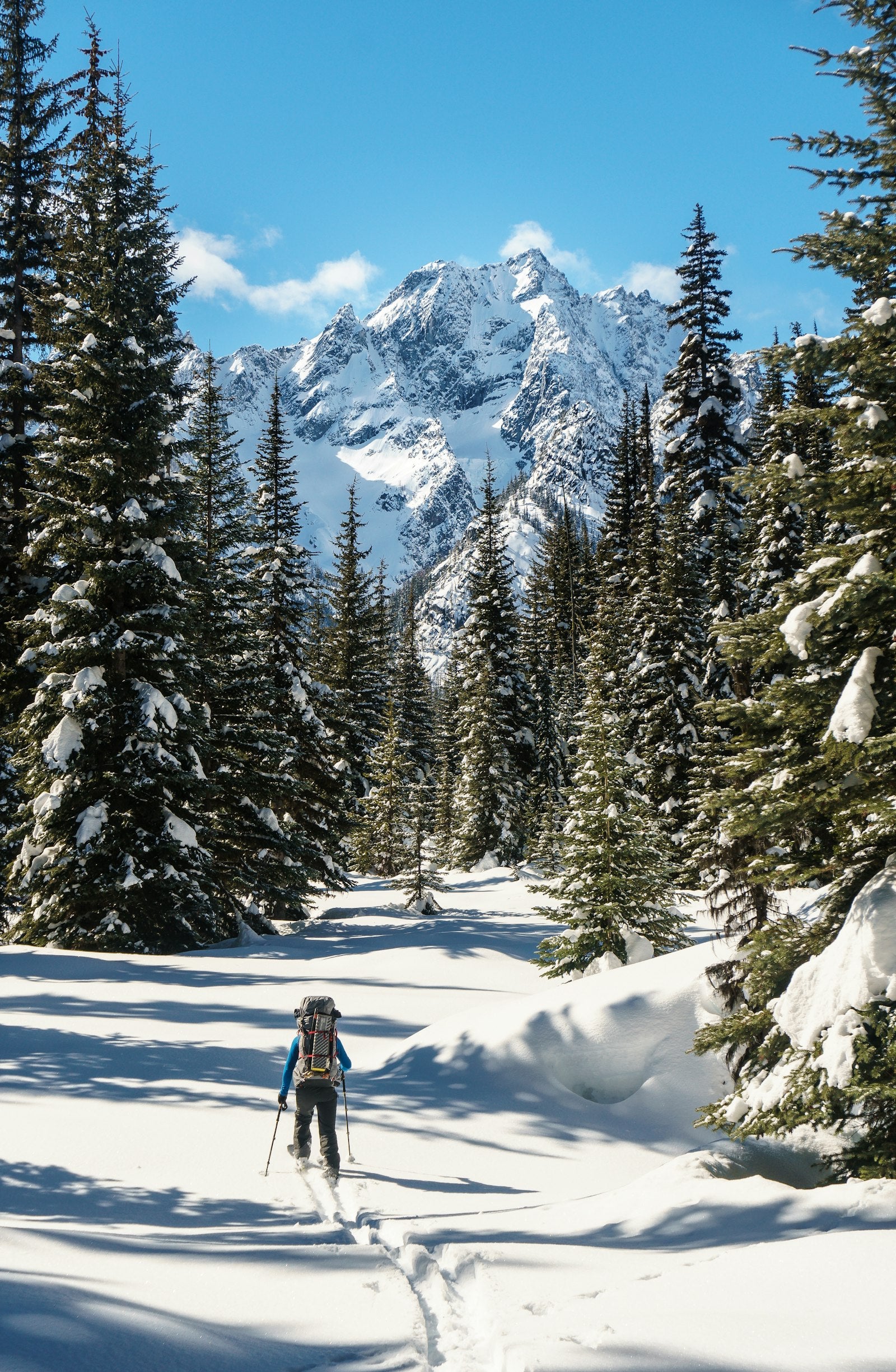 Skieur de randonnée traçant en forêt enneigée (photo Unsplash)
